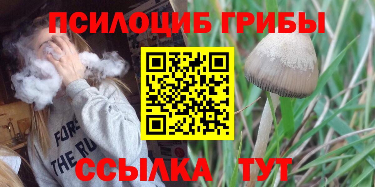 Галлюциногенные грибы мухоморы  как найти закладки  Псилоцибиновые грибы Psilocybe  Горно-Алтайск  Вход с VPN 